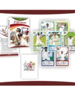 Legends of Test Cricket Trump Cards (Only Retired cricketers Included)63 Cards in a Pack With Accurate Data and exciting Pics Contains Players from Eight different countries - India, Aus, Eng, WI, Pak, SL, NZ & SA No player is repeated - Image 3